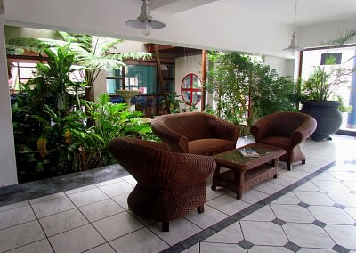 Chairs and indoor garden